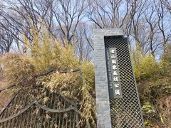 -南京老山国家森林公园