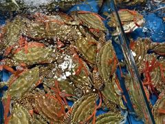 -粤盛海鲜平价店(洛溪食街店)