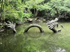 -汇龙潭