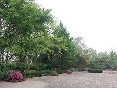 -玲珑塔公园