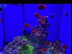 -多彩贵州城极地海洋世界