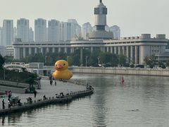 -南市食品街
