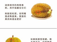 -麦德龙(湖里店)