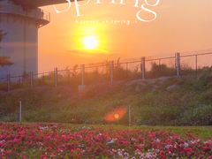 -光明小镇欢乐田园