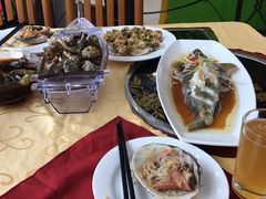 -海岛渔村大酒店(云霄路店)