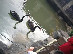 -上海怡沁园度假酒店