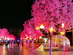 -沈阳方特欢乐世界