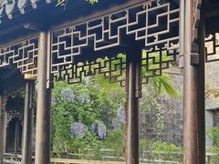 -芥子园