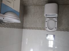 -金山农民画村-枫泾波兰倒置屋