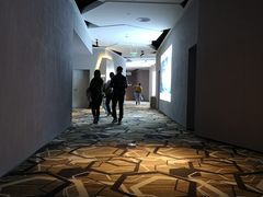-星河寰宇IMAX影城(星河WORLD·COCO Park店)