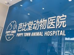 -芭比堂动物医院·CT·微创中心(新顺分院)
