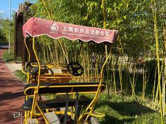 -上海长兴岛郊野公园