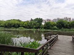 -新江湾城公园