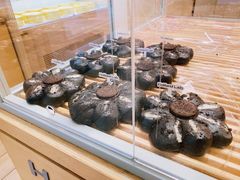 -好利来(新华百货店)