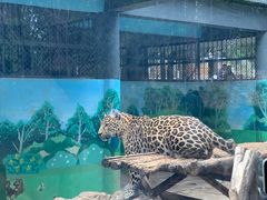 -昆明动物园