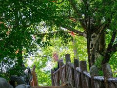 -光雾山旅游景区
