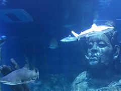 -暹罗海洋世界