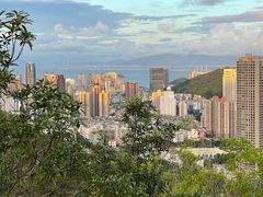 -板樟山森林公园