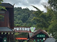 -野象谷景区