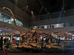 -自贡恐龙博物馆