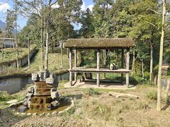 -中国大熊猫保护研究中心雅安碧峰峡基地