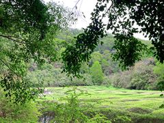 -大屏嶂森林公园