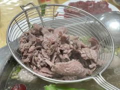 -原野牛肉岛