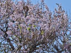 -北京西国贸大酒店