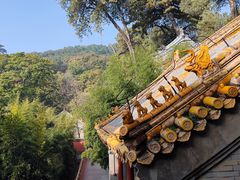 -潭柘寺景区