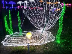 -洛阳白云山景区