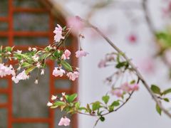 -堤角公园