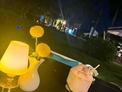-宴悦海鲜餐厅Driftwood·游水海鲜·牛排(亚龙湾瑞吉店)