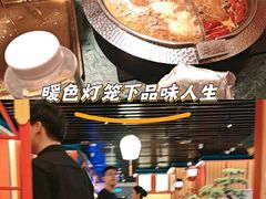 -牛New寿喜烧(金鹰世界店)