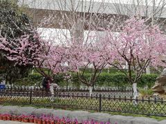 -堤角公园