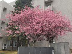 -河海大学(江宁校区)