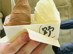 -野人先生现做冰淇淋(北京悠唐购物中心店)