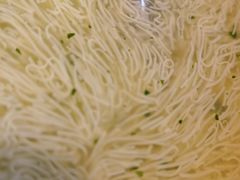 -扬州狮子楼·非遗淮扬菜(东关街店)