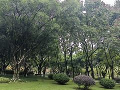 -西南政法大学(渝北校区)