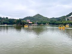 -珠海圆明新园