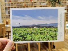 -猫的天空之城概念书店(杭州南宋御街店)