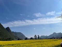 -万峰林风景区