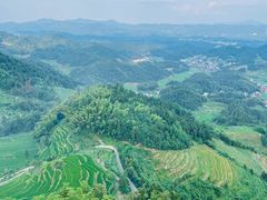-紫鹊界梯田景区