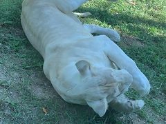 -石家庄市动物园