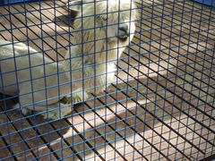 -水上乐园·欢乐世界