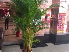 android_upload_pic-乐圣量贩KTV自助餐(崇文店)