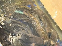 -有家酸菜鱼(张家港中骏世界城店)