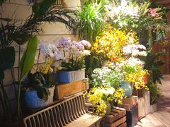 -春暖花开(西溪店)