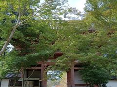 -醍醐寺