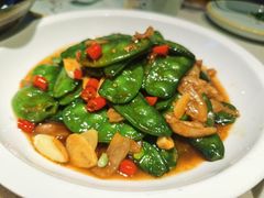 -上海佘山世茂艾美酒店