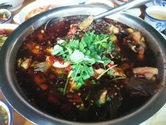 -四川泸州豆花饭店